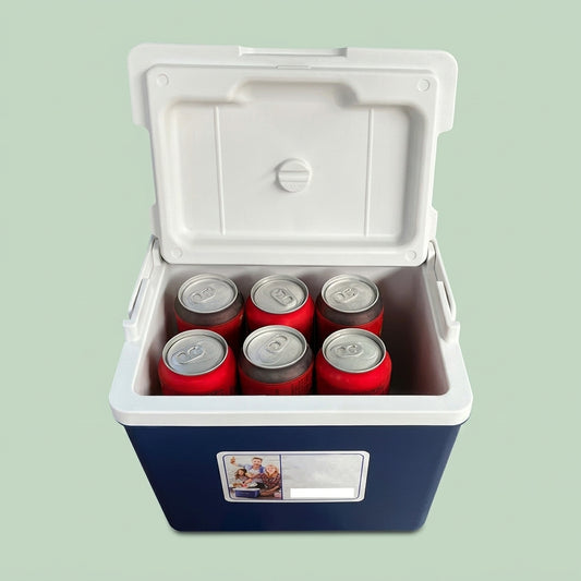 10L Handheld Insulated Box Outdoor Camping Drink Food Cooler